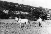 /album/%ce%ad%ce%ba%ce%b8%ce%b5%cf%83%ce%b7-%cf%86%cf%89%cf%84%ce%bf%ce%b3%cf%81%ce%b1%cf%86%ce%b9%cf%8e%ce%bd/%ce%bf%cf%81%ce%b3%cf%89%ce%bd%ce%bf%ce%bd%cf%84%ce%b1%cf%83-%ce%bc%ce%b5-%ce%b1%ce%bb%ce%b5%cf%84%cf%81%ce%b9-%ce%b4-%ce%bd%ce%b9%ce%ba%ce%bf%cf%85-jpg/